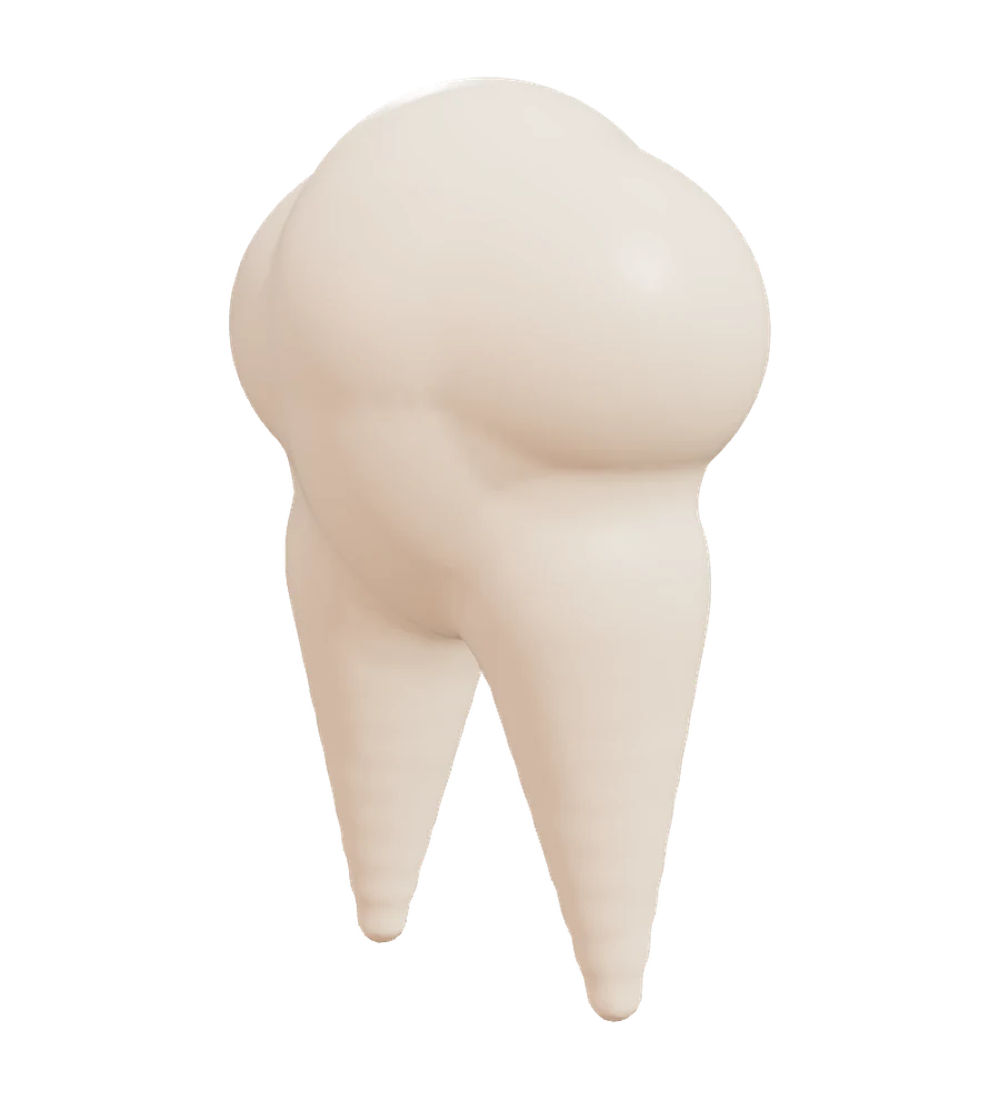 Stylised illustration of an ivory molar, used for the chapter on exploring dental care.